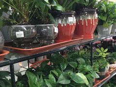 -人人乐购物广场(开发区店)