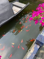 -爱儿美儿童摄影(五路居花园别墅店)