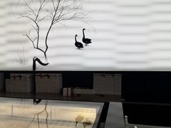 -BLACKSWAN黑天鹅(环球店)