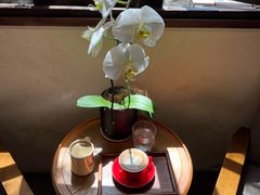 -两棵枇杷树