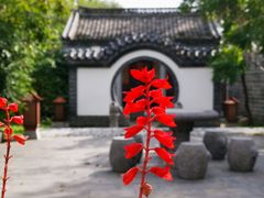 -陆地游轮吉林神农温泉