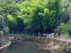 -花溪风景区