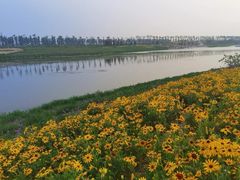 -潇河湿地公园