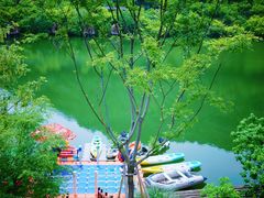 -芳草地度假酒店·野炉中餐厅