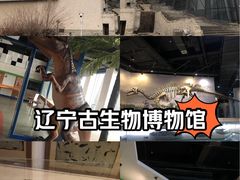 -辽宁古生物博物馆