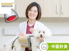 -美联众合动物医院·24h转诊中心