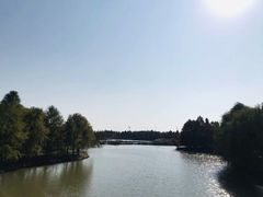 -上海海湾国家森林公园