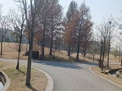 -广富林郊野公园