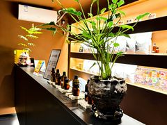 -泰·菩提树下[泰式按摩x精油SPAx肩颈头疗](新景店)