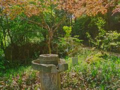 -潜山国家森林公园