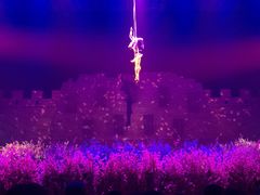 -济南方特东方神画