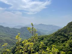 -大岭沟猕猴桃谷风景区