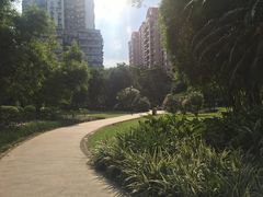 -晓港公园