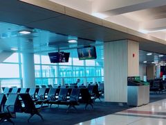 -约翰·菲茨杰拉德·肯尼迪国际机场