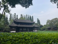 -桂湖森林公园