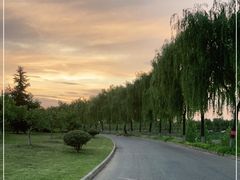 -洨河生态公园