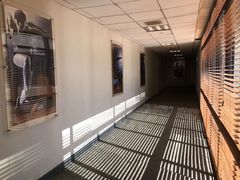 -健身专家Wellness Experts