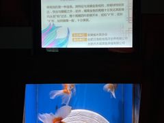 -合肥海洋世界