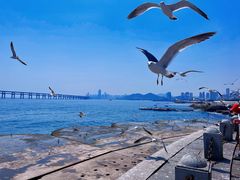 -星海广场