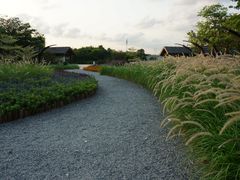 -映月湖公园