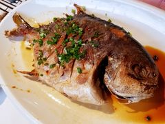 香煎仓鱼-强记海鲜·大排档(蛇口新街店)