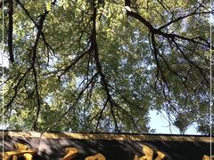 -麻记尚品羊汤秘制烧饼(十字坡街店)