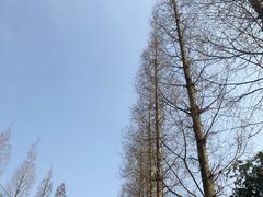 -青城道汤池