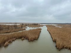 -盐城丹顶鹤湿地生态旅游区