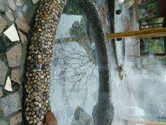 -金孔雀温泉旅游度假村