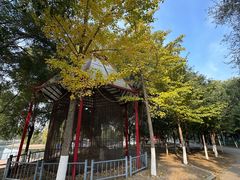 -长白岛森林公园