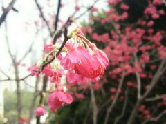 -乌山风景区
