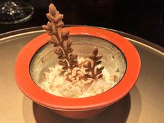 -地球美食剧场
