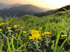 -萍乡武功山风景名胜区