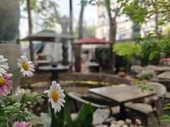 -Golden Lily河内巴黎法越料理餐厅(建国西路店)