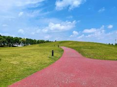 -春花秋色城市公园