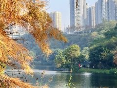 -重庆彩云湖湿地公园