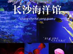 -长沙海底世界