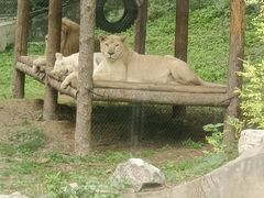 -石家庄市动物园