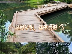 -云溪植物园
