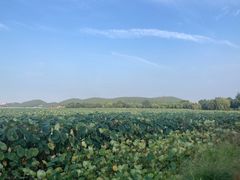 -云龙湖旅游景区