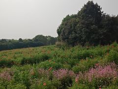 -凤凰沟景区