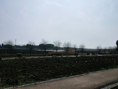 -西京湾花海