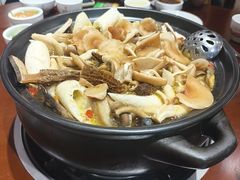 -菌之家·专业纯野生菌火锅·特色炒菌
