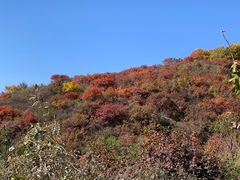 -北京西山国家森林公园