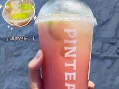 -PINTEA LAB(北京路店)