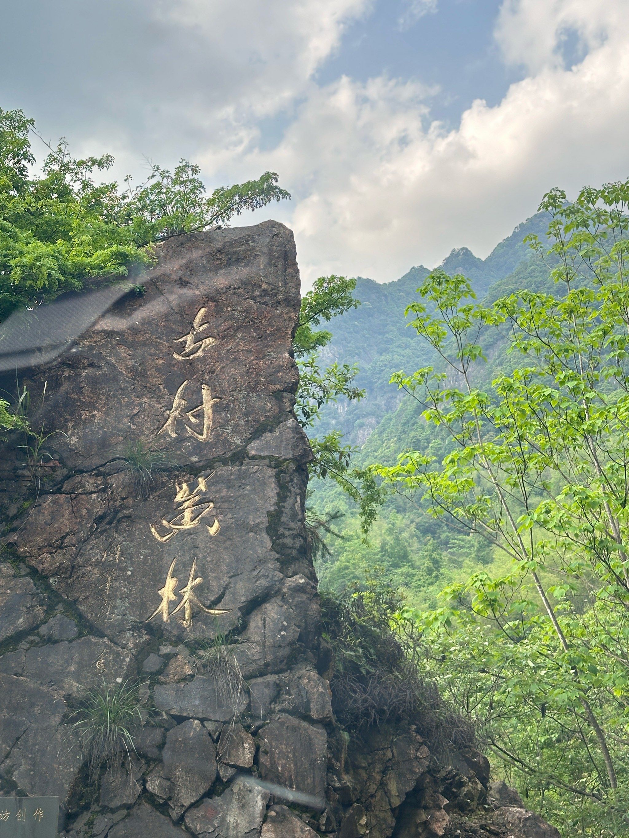 古村黄林