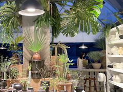 -自由生长植物工作室(深港花卉中心店)