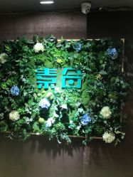 点击看大图 -素合写真摄影(合肥原创店)