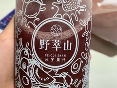 -野萃山·潮汕厚果汁(十亩地店)