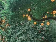 -竹吟山房